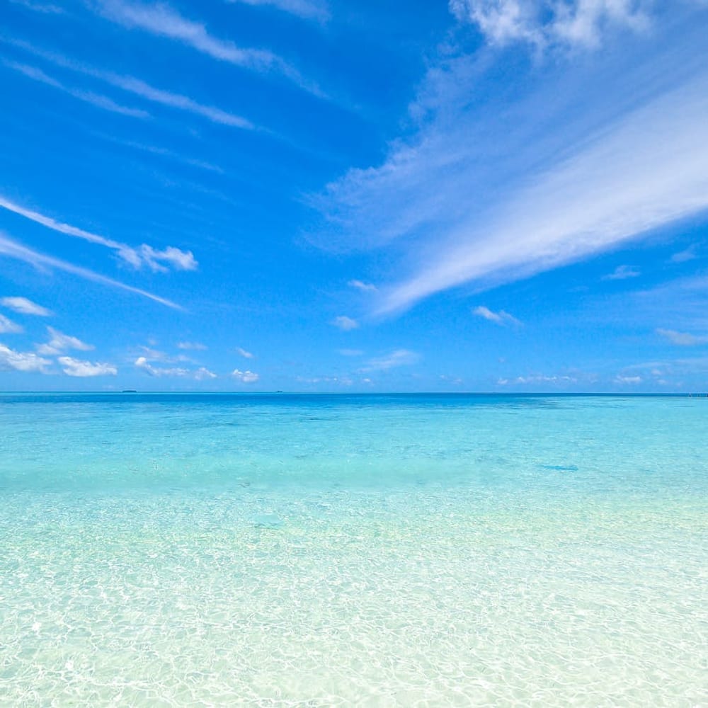 Palm trees and calm shoreline at an affordable premium-feel beach getaway