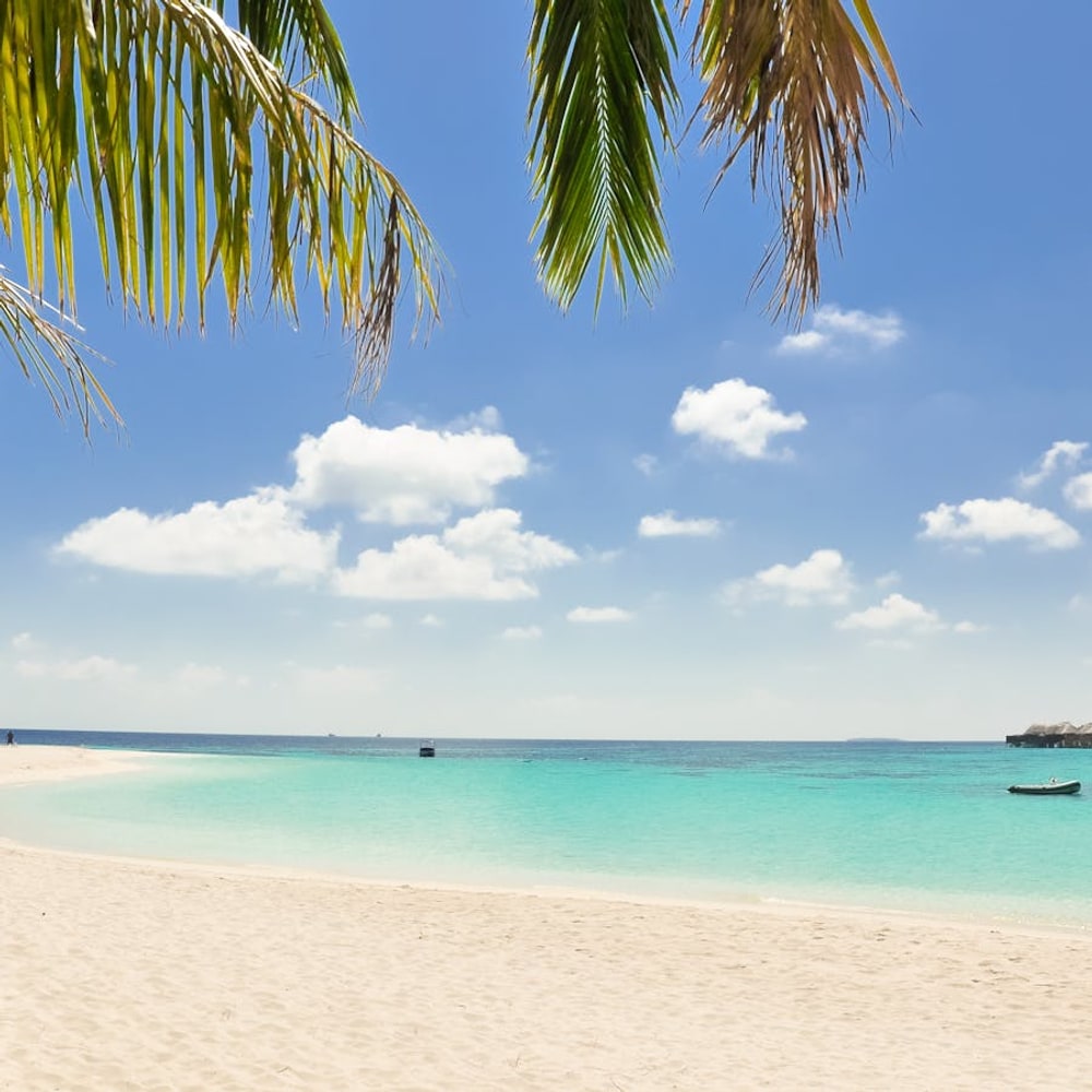 Secluded sandy cove with calm waves and palm shade along the shoreline