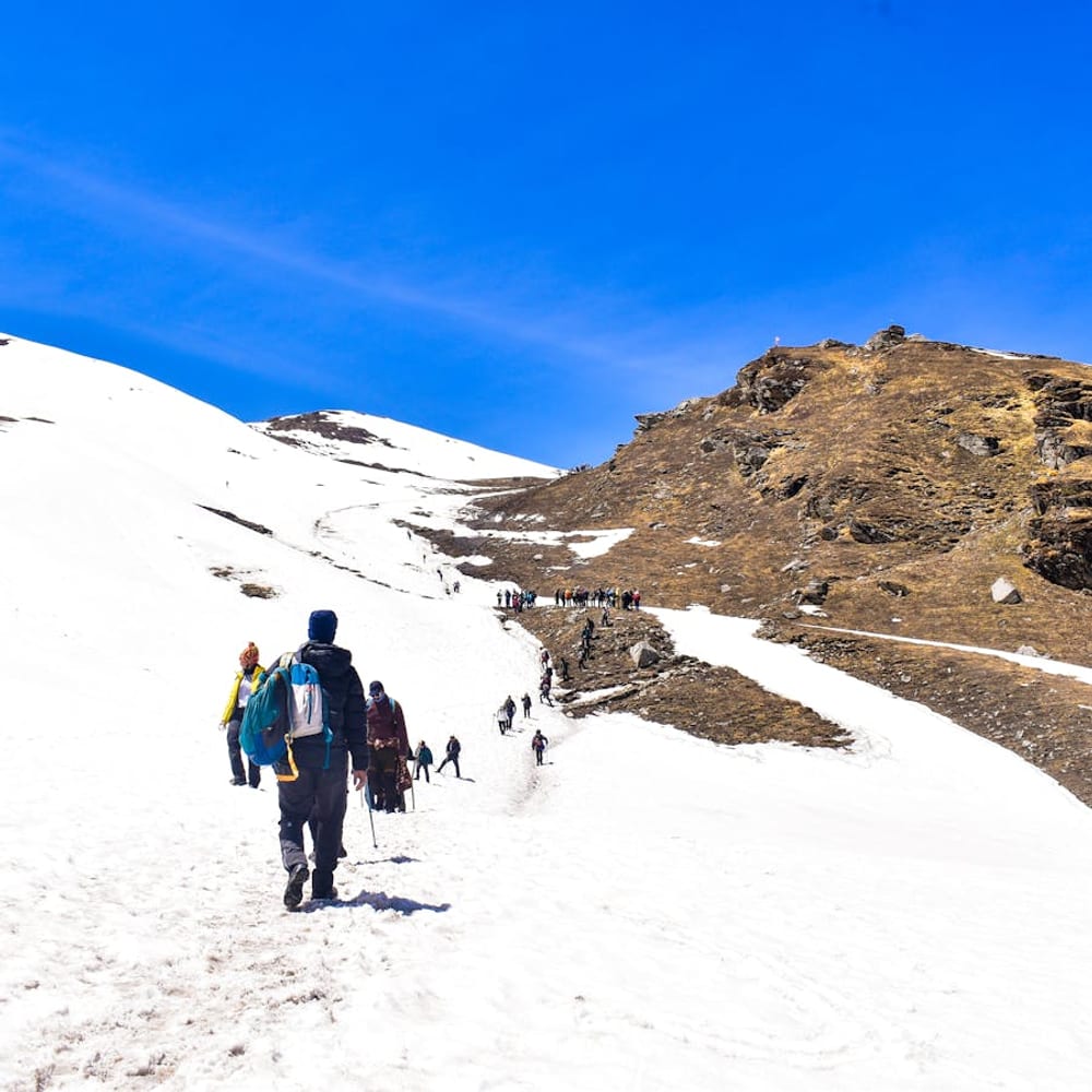 Group of hikers trekking in mountains seen from behind on a scenic trail