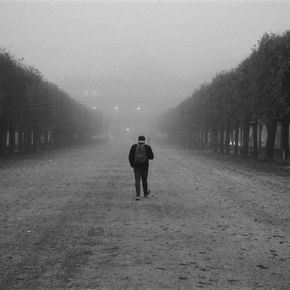 Back view of a solo backpacker walking down a tree-lined misty pathway