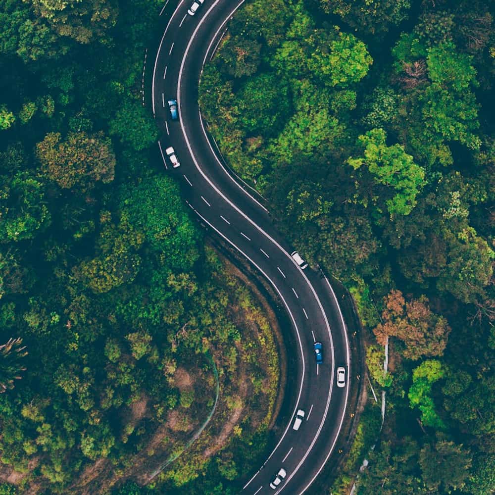 Aerial view of a winding road through dense green forest symbolizing open journey